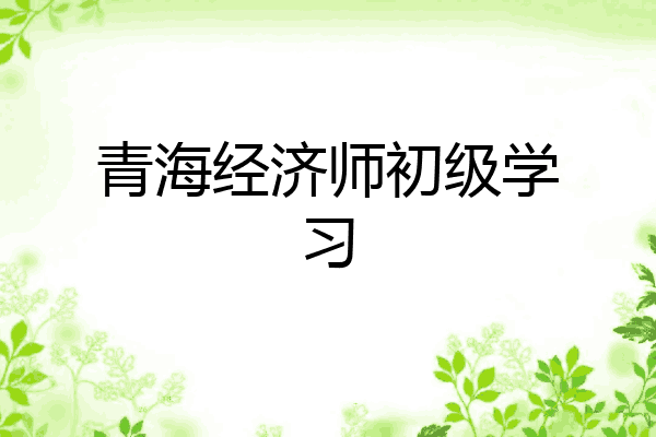 青海经济师初级学习