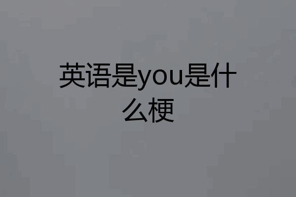 英语是you是什么梗