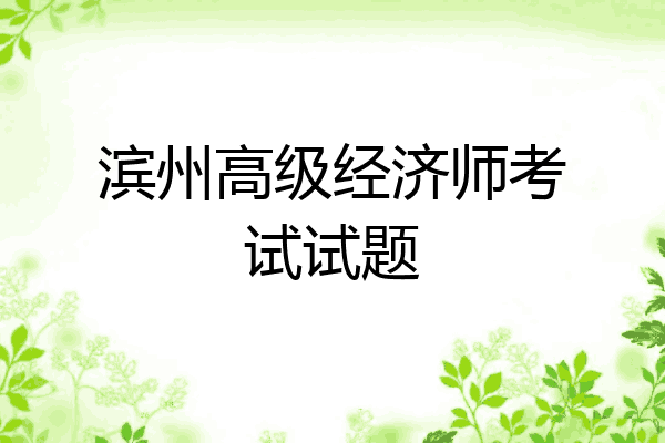 滨州高级经济师考试试题