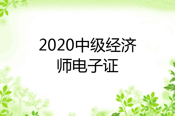 2020中级经济师电子证