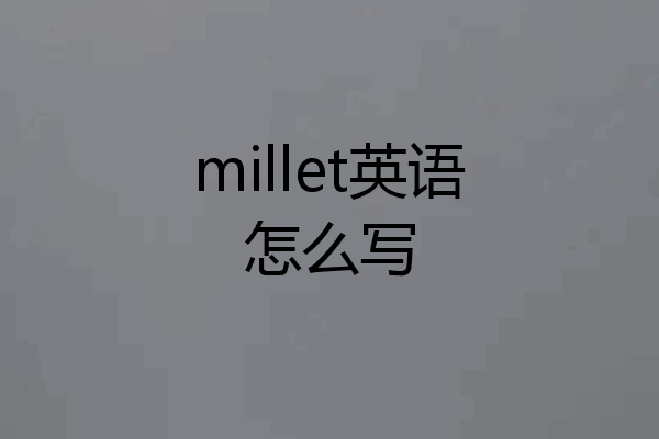 millet英语怎么写