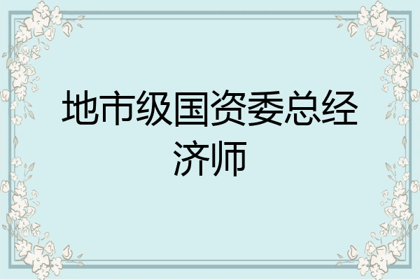 地市级国资委总经济师