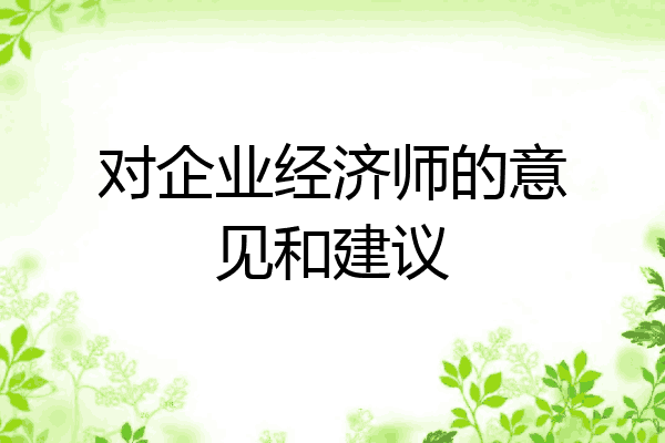 对企业经济师的意见和建议