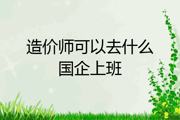 造价师可以去什么国企上班