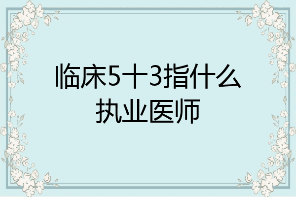 临床5十3指什么执业医师