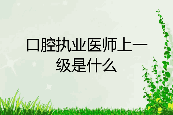 口腔执业医师上一级是什么