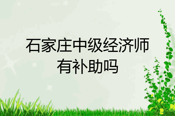 石家庄中级经济师有补助吗