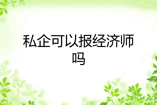 私企可以报经济师吗
