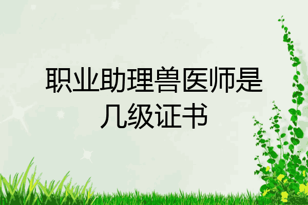 职业助理兽医师是几级证书
