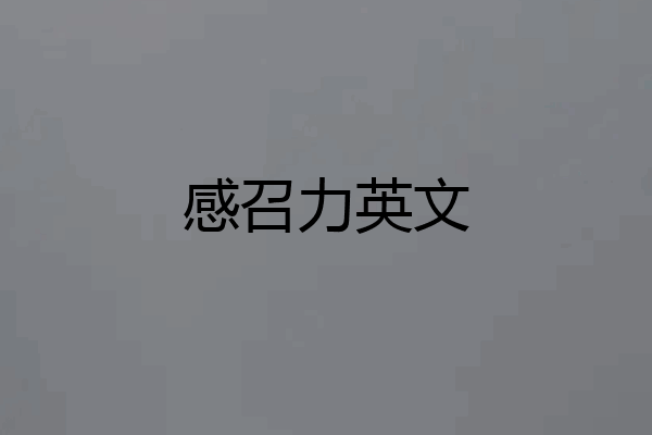 感召力英文