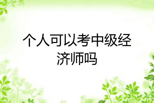 个人可以考中级经济师吗