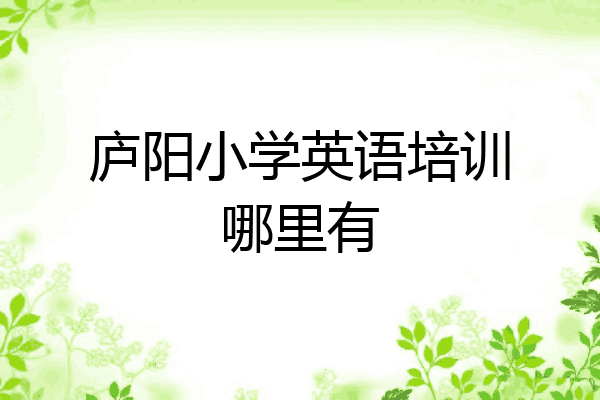 庐阳小学英语培训哪里有