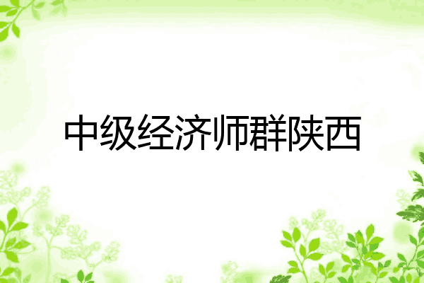 中级经济师群陕西