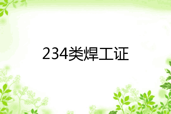 234类焊工证