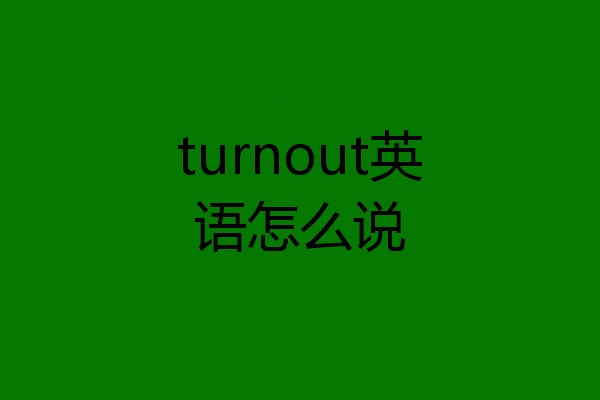 turnout英语怎么说