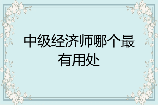 中级经济师哪个最有用处