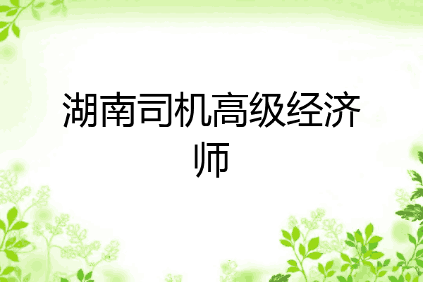 湖南司机高级经济师