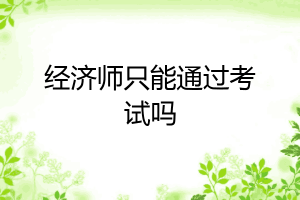 经济师只能通过考试吗