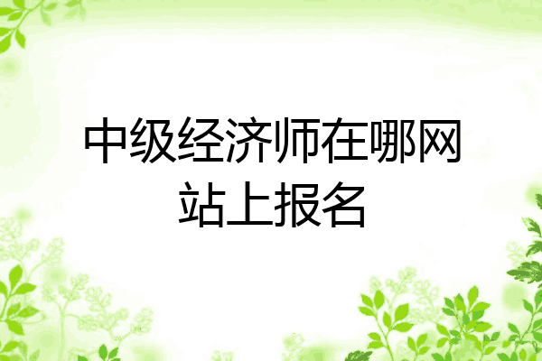 中级经济师在哪网站上报名