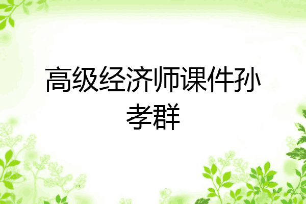 高级经济师课件孙孝群