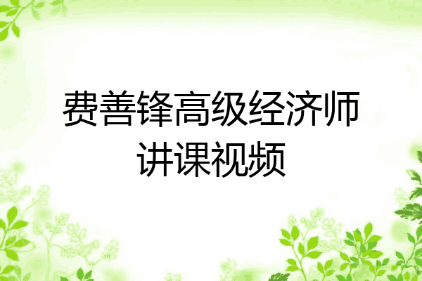 费善锋高级经济师讲课视频