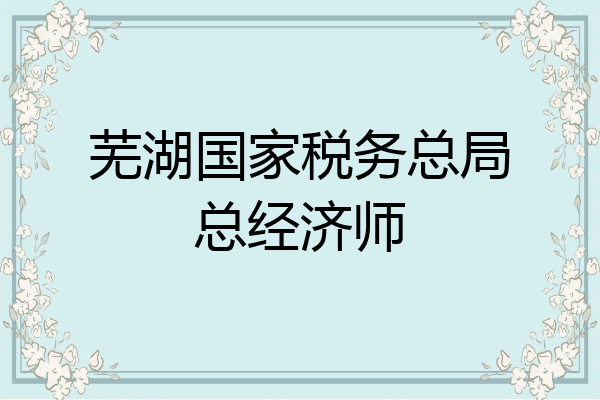 芜湖国家税务总局总经济师