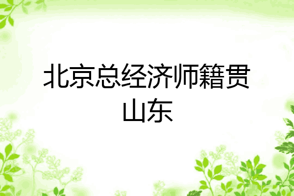 北京总经济师籍贯山东
