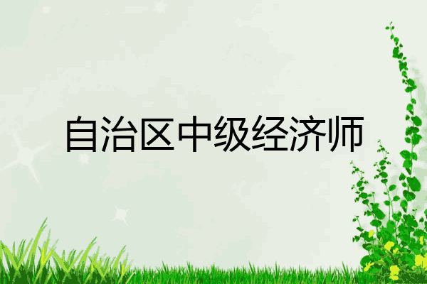 自治区中级经济师