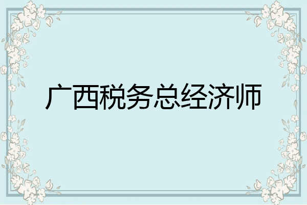 广西税务总经济师