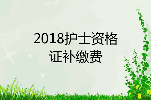 2018护士资格证补缴费