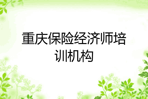 重庆保险经济师培训机构