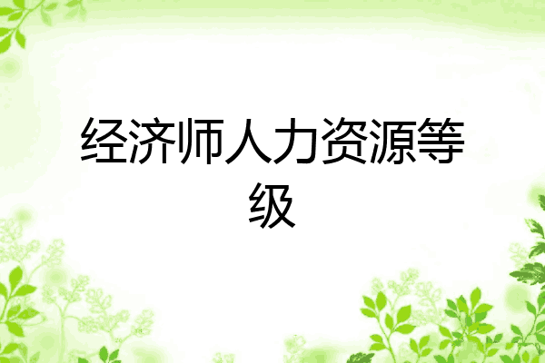 经济师人力资源等级