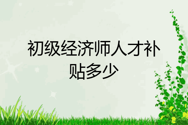初级经济师人才补贴多少
