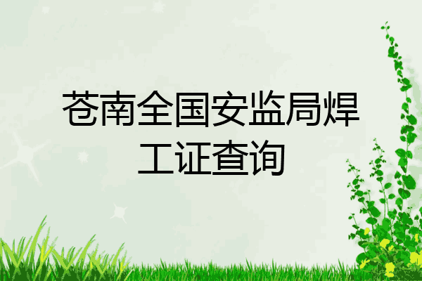 苍南全国安监局焊工证查询