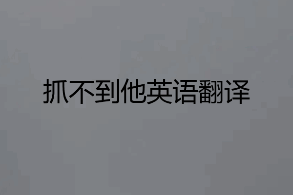 抓不到他英语翻译