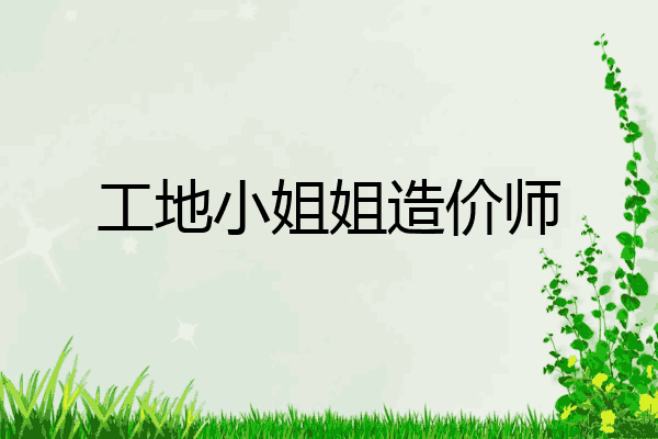 工地小姐姐造价师