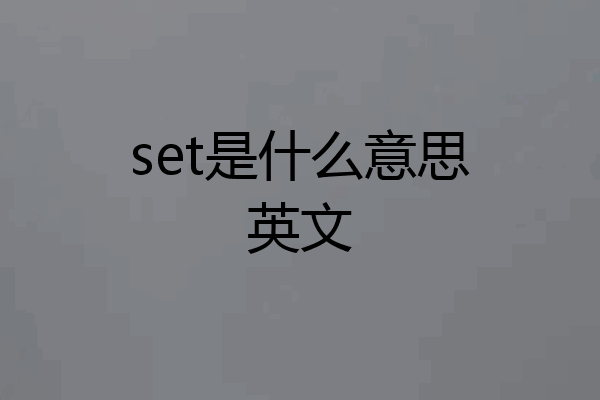set是什么意思英文
