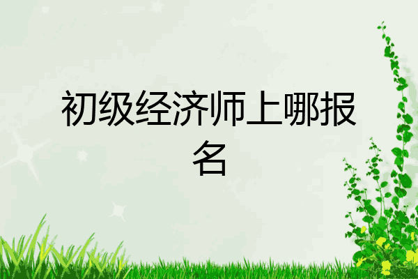 初级经济师上哪报名