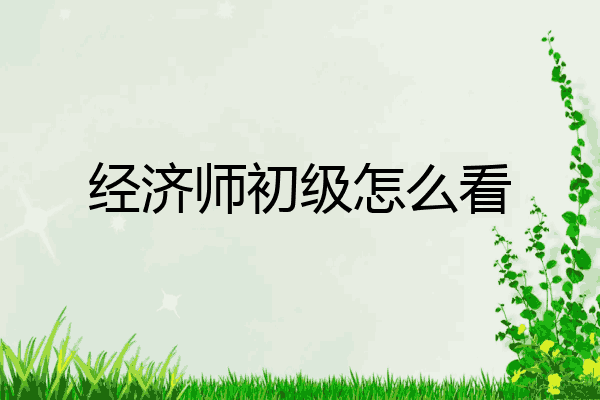 经济师初级怎么看