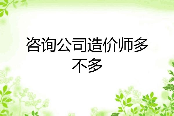 咨询公司造价师多不多