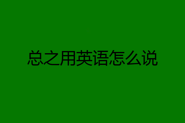总之用英语怎么说