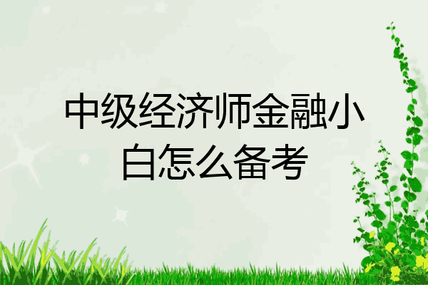 中级经济师金融小白怎么备考