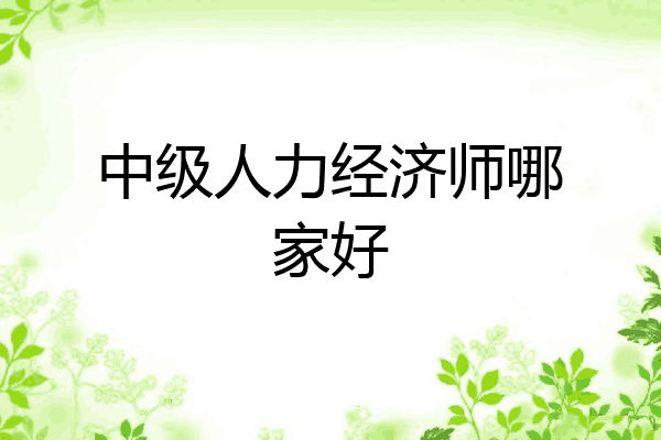中级人力经济师哪家好