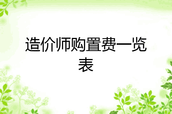 造价师购置费一览表