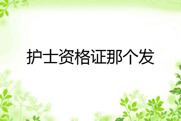 护士资格证那个发