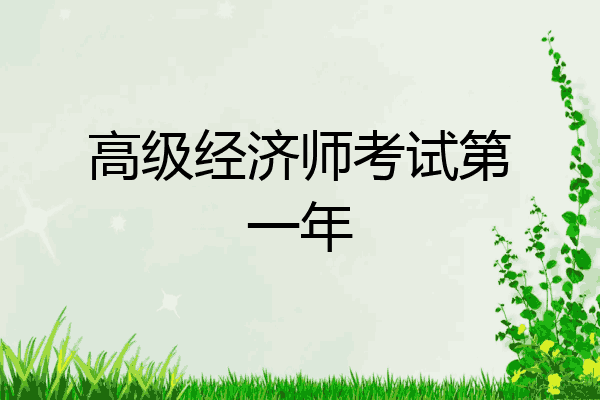 高级经济师考试第一年