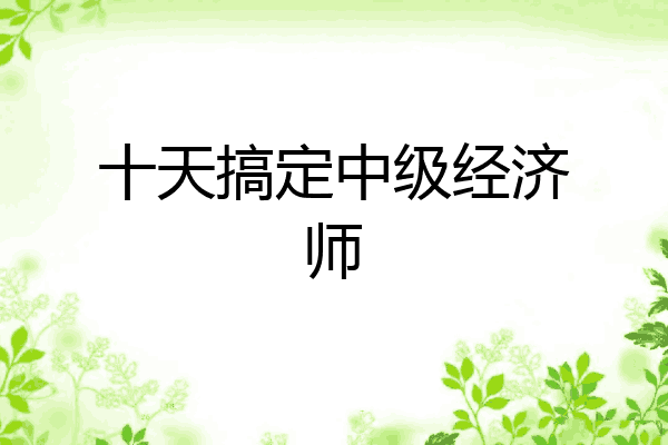 十天搞定中级经济师