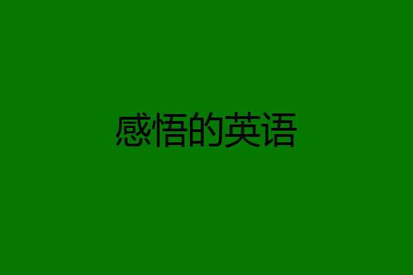 感悟的英语
