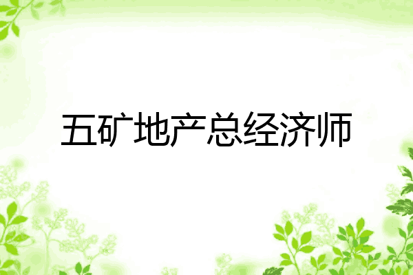 五矿地产总经济师
