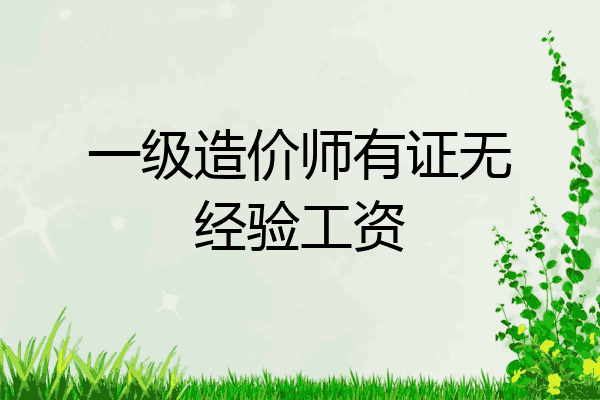 一级造价师有证无经验工资